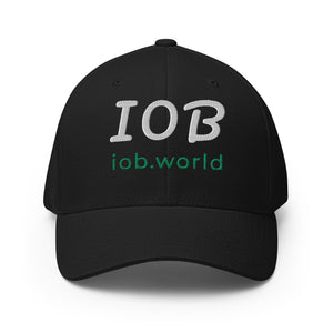 IOB - Black Structured Twill Cap