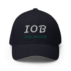 IOB - Black Structured Twill Cap