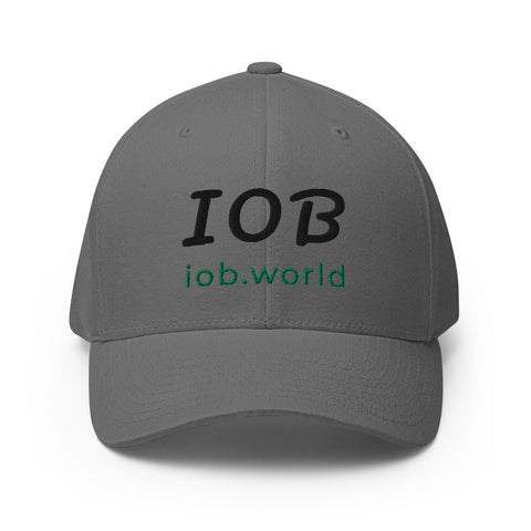 IOB - Grey Structured Twill Cap